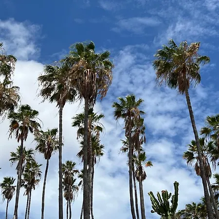 Paulmarie Atlantic View Terrace Daire Costa Adeje