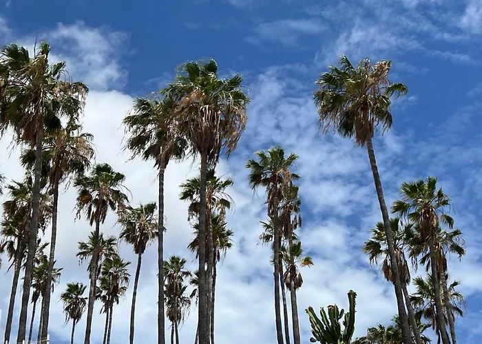 Paulmarie Atlantic View Terrace Lejlighed Costa Adeje (Tenerife)